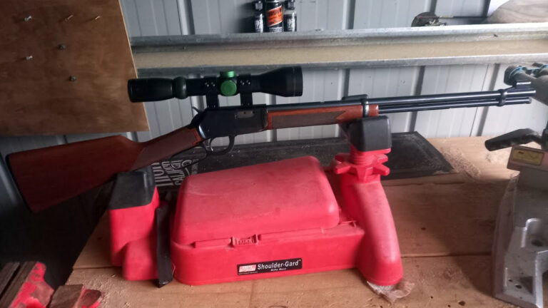 15 firearms that became safe queens by accident