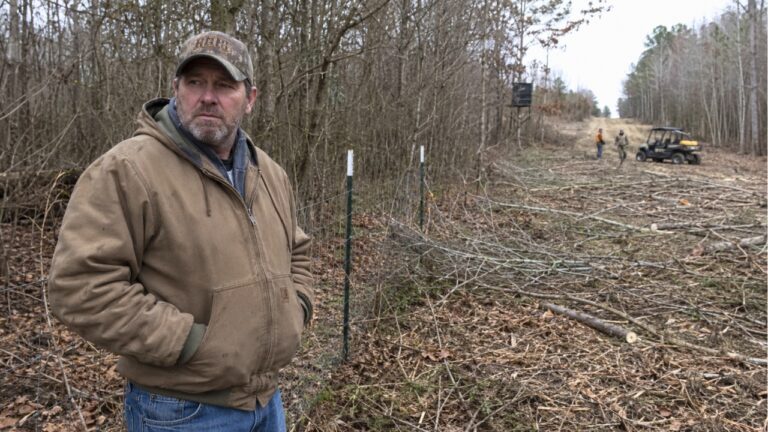 “They Cut Shooting Lanes Facing My Property” – Landowner Says a Hunting Lease Next Door Suddenly Felt Too Close