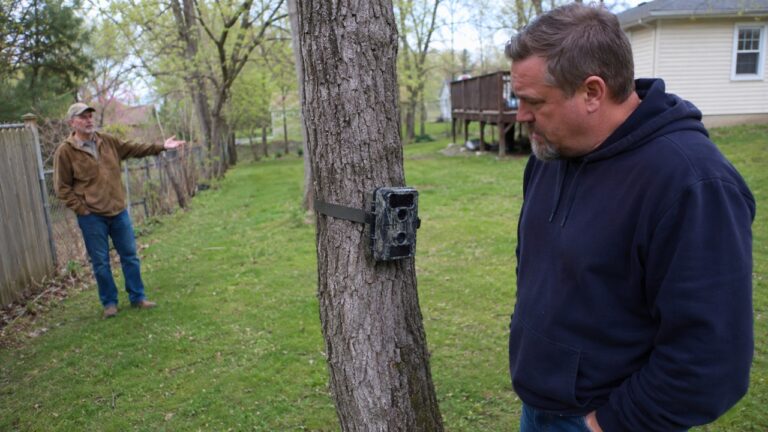 Homeowner Finds a Trail Camera Tied to a Tree in His Backyard — Then the Neighbor Says It Was for Tracking Deer