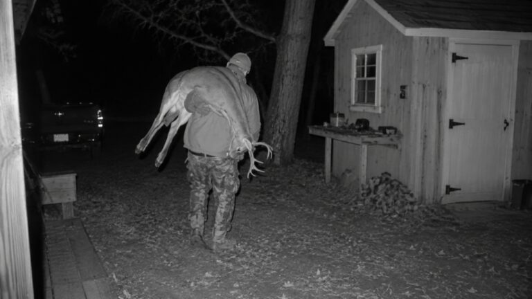 Armed Poachers Keep Coming Into a Yard — Then One Returns Later for the Deer Carcass