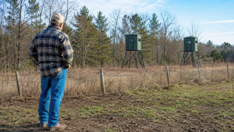 Property Owner Finds Freestanding Deer Stands on His Land and Wonders Whether He Can Tear Them Down