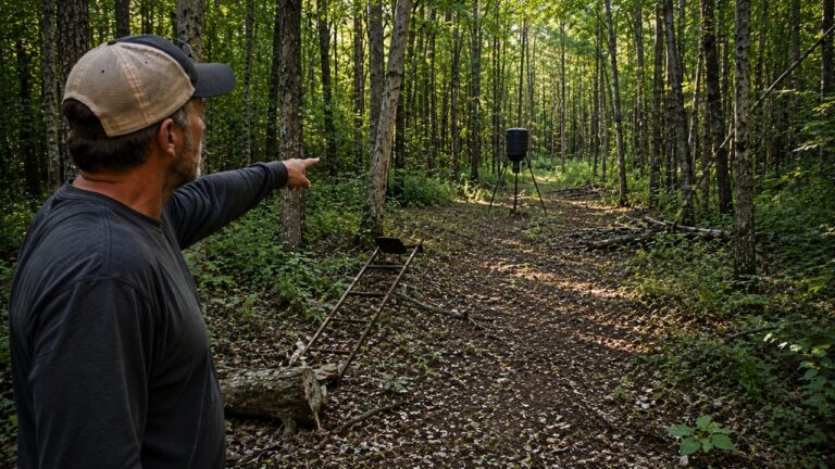 Hunters Say Their Remote Deer Property Is Being Hit Hard by Poachers