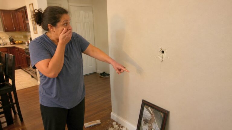 Townhouse Owner Says a Neighbor Was Cleaning a Gun When It Fired Through the Shared Wall
