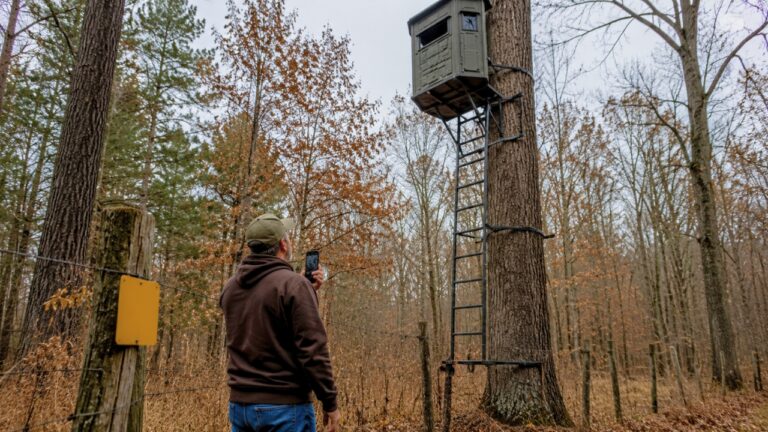 Man Finds a Deer Stand on His Property — Then Learns Tearing It Down May Not Be as Simple as It Sounds