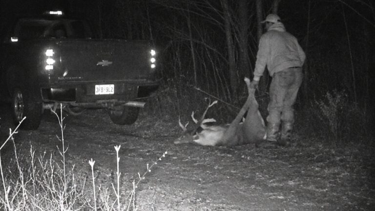 Man Calls the Game Warden Hotline on a Poacher and Provides Plates and Photos — Then the Same Truck Is Back the Following Weekend