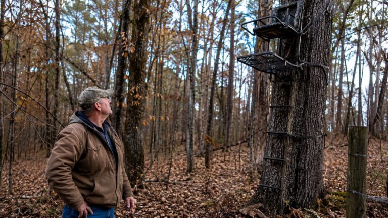 Landowner Finds Another Deer Stand on His Property and Has to Decide Whether It’s Abandoned Gear or Active Trespassing