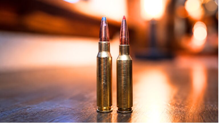 6.5 Creedmoor vs. .308: Has the Old King Finally Been Dethroned