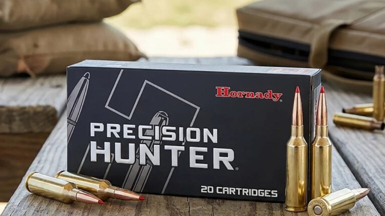 The Calibers That Made Hunters Switch and Never Look Back