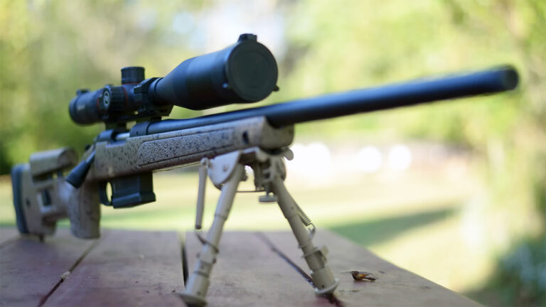 20 Rifle Cartridges Hunters Still Swear By