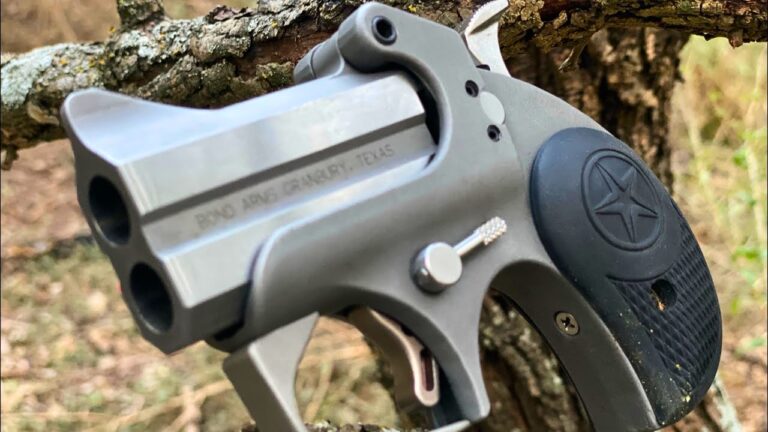 Guns That Should Never Be Someone’s Only Firearm