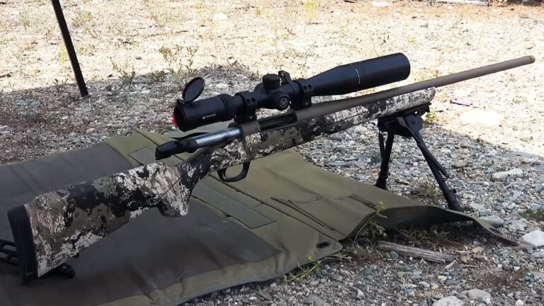 20 Rifles That Shoot Far Better Than Their Price Suggests
