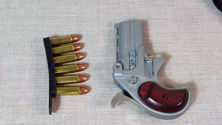 20 Guns That Experienced Shooters Tend to Avoid