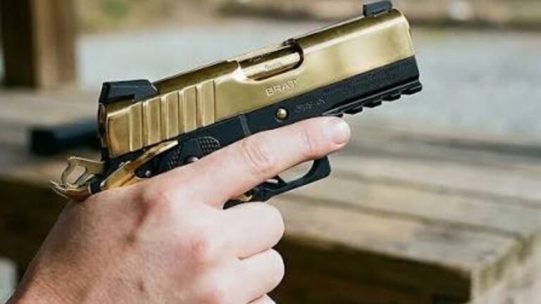 New firearms that could become the next obvious keepers