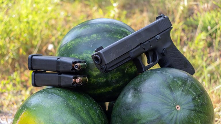 The 20 Best Guns for People Who Only Want One