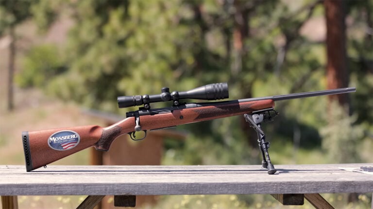 These 20 Hunting Rifles Lose Accuracy After a Few Shots