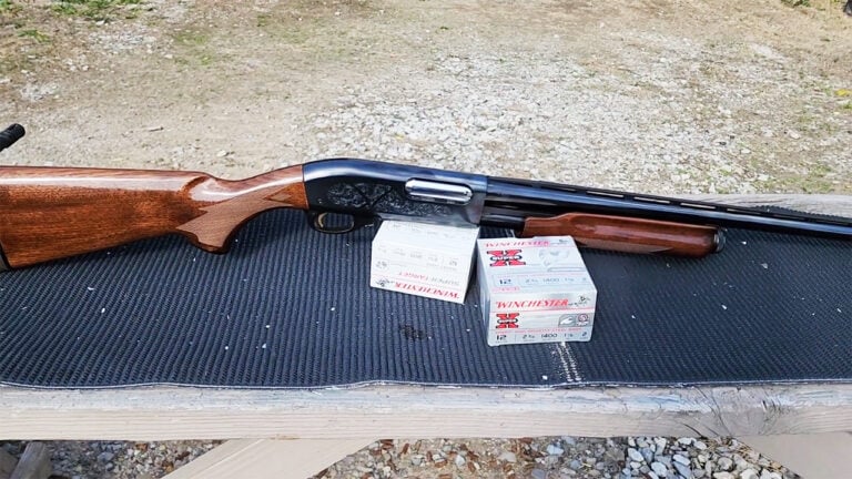 20 Guns That Owners Never Sell
