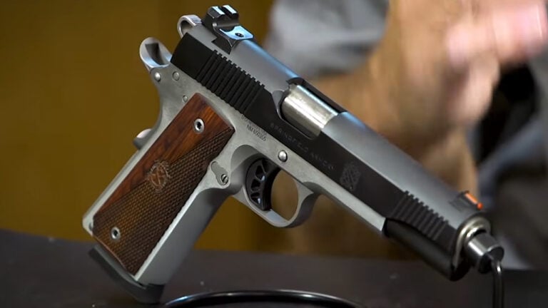 20 Pistols That Should Be More Accurate Than They Are