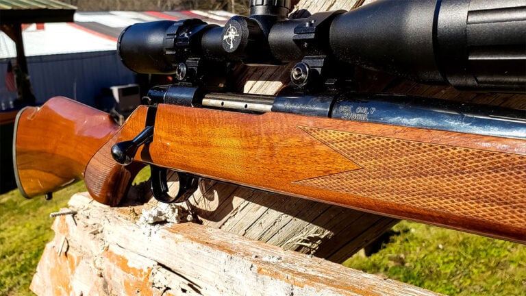 The 20 Most Underrated Hunting Rifles Still Around
