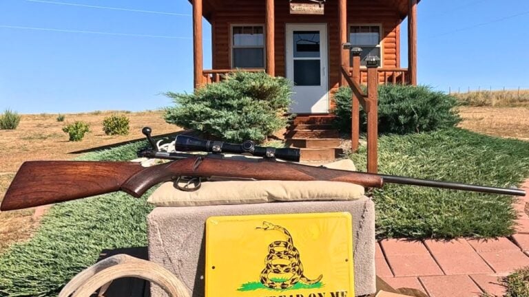 Rifles that hunters passed on and still regret missing