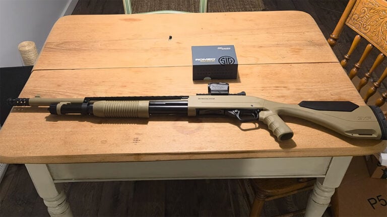 The 20 Shotguns I Would Reach for Before Any Rifle if Something Came Through the Door