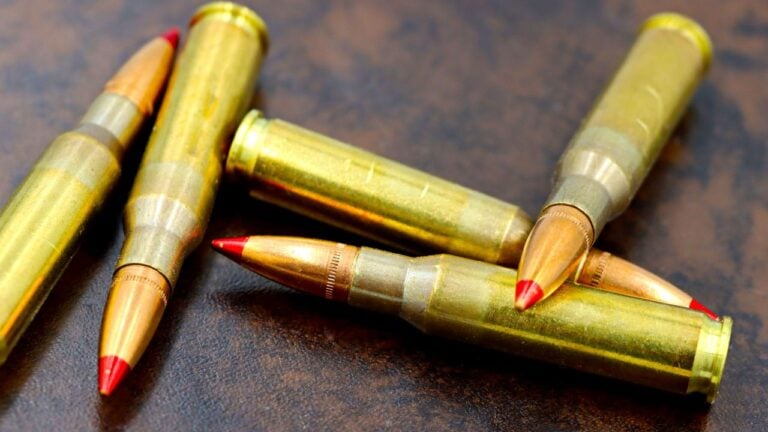Hunting Calibers That Leave Almost No Room for Error