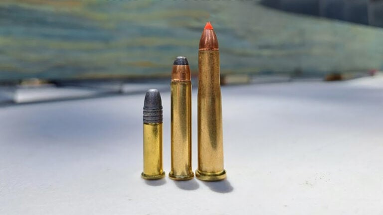 20 Calibers That Were Invented for One Animal and Turned Out Perfect for Another