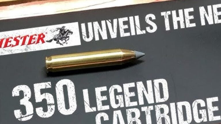 These Calibers Make Long Shots Needlessly Risky