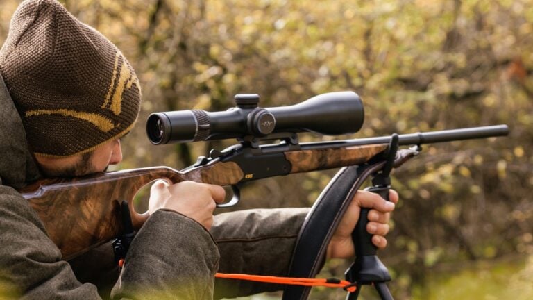 20 Guns That Will Be Much Harder to Find in Five Years
