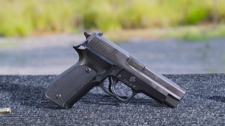 20 Guns That People Buy Once and Never Try to Sell
