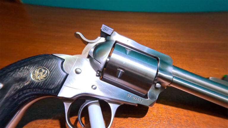 The Best .44 Magnum Revolvers for People Who Actually Shoot Them