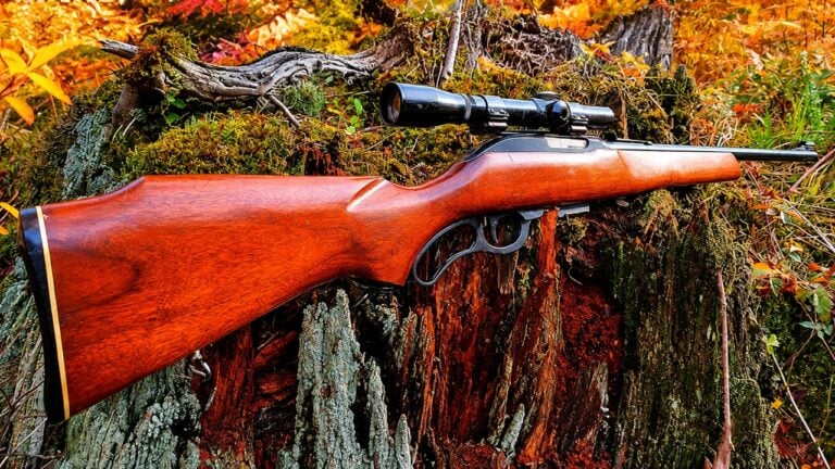 20 Guns That Are Much Harder to Replace Than Owners Realize