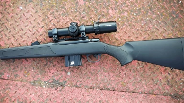 20 Rifles That Come Out of the Closet After Ten Years and Still Shoot Straight