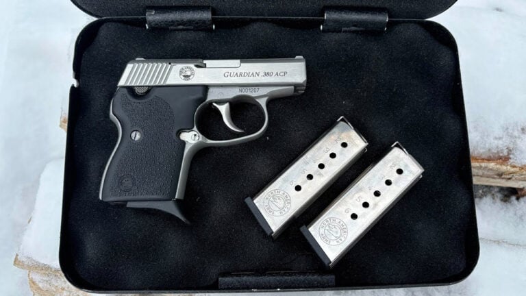20 Carry Guns That People Laugh At Until They Try to Find One