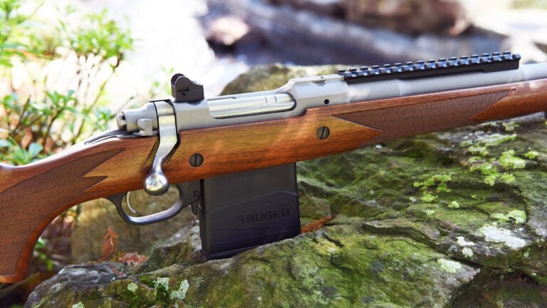 Rifles That Hunters Carry Into Country Where Failure Is Not an Option