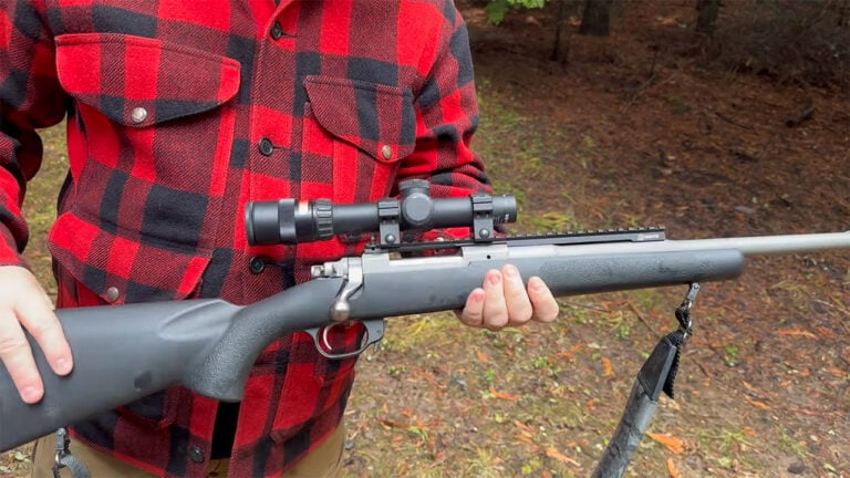 Rifles That Excel in Every Meaningful Way Except the One That Costs Hunters Their Season