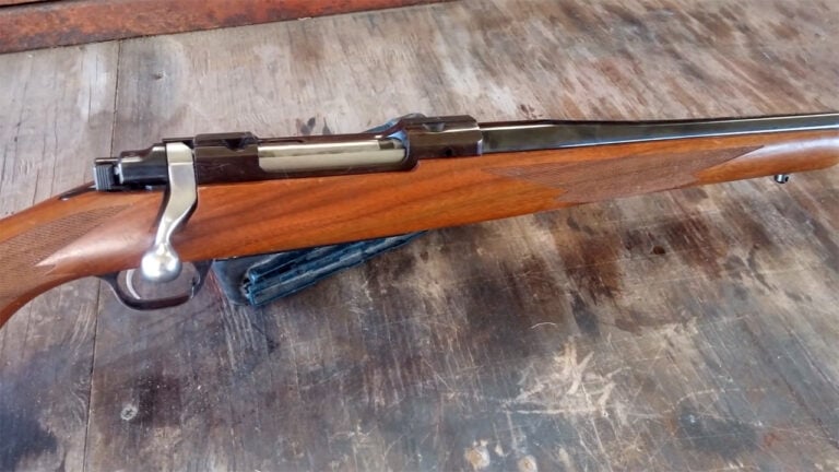 20 Rifles That Benchrest Shooters Dismissed and Field Hunters Never Forgot