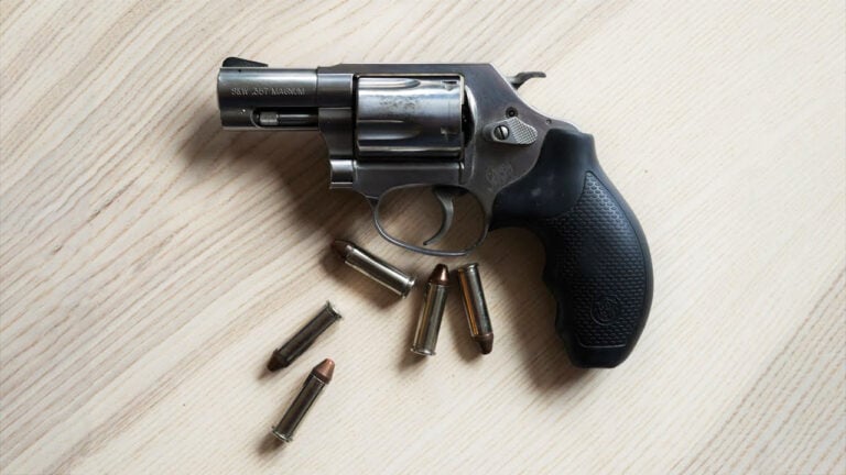20 Revolvers That Are Still the Right Answer for People Who Live Alone in the Country
