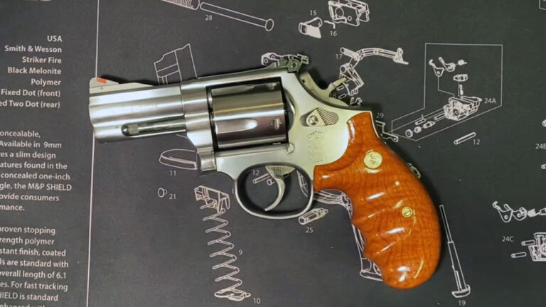 20 .44 Special Revolvers That Deserve Far More Attention Than They Get