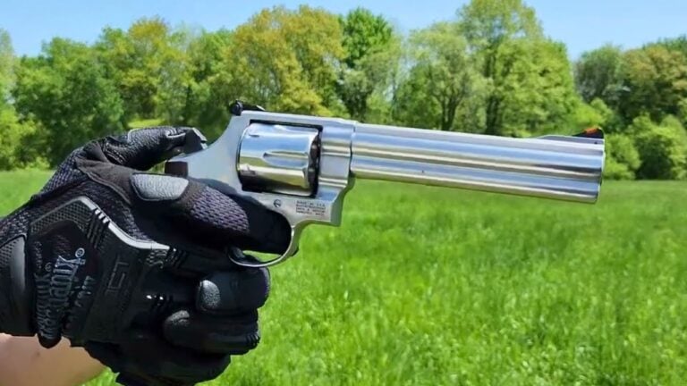 20 Revolvers That Deserve a Spot in Your Safe