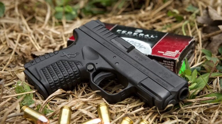 The Handguns People Buy for Self-Defense and Never Actually Carry