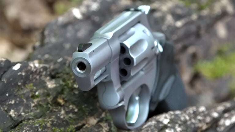The Best .22 Revolvers for Training and Small Game