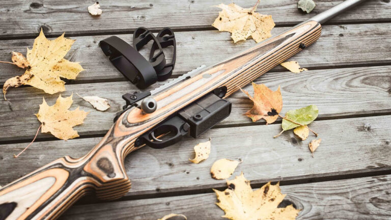 Rifles That Are Hardest to Find and Most Worth the Search
