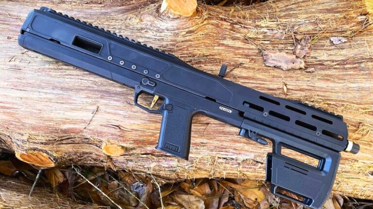 20 Guns That Could Be Tomorrow’s Collector Favorites