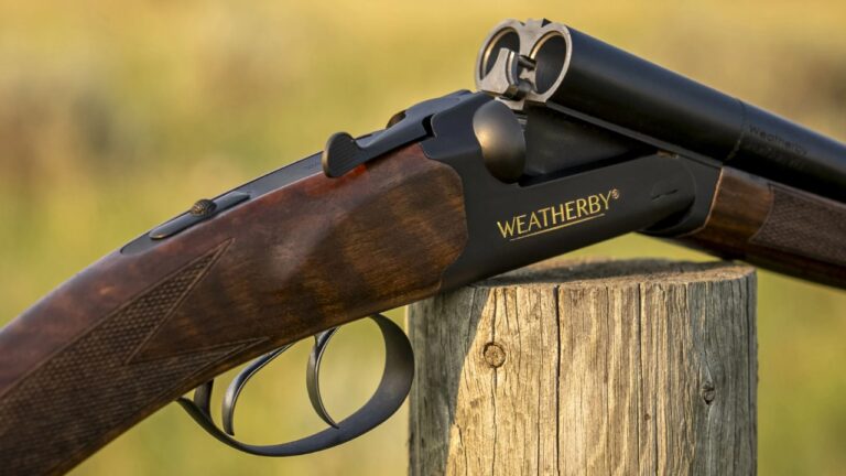 20 Firearms That Are Quietly Disappearing From Gun Stores
