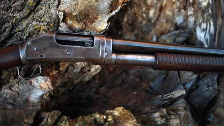 20 Shotguns That Were Built to Last and Have Proven It Over Fifty Years