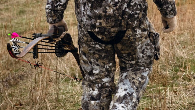 20 States That Serious Bowhunters Are Quietly Choosing Over the Popular Options Right Now