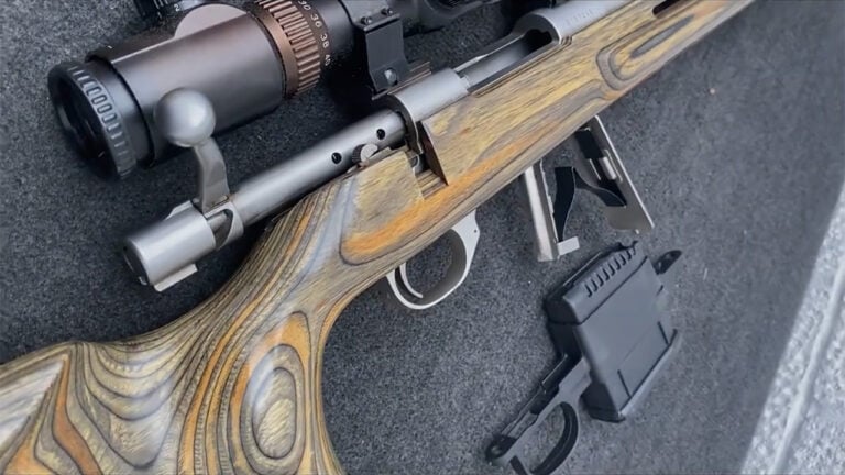 The 20 Hunting Rifles That Guides in Alaska Recommend for People Who Only Hunt Once a Year