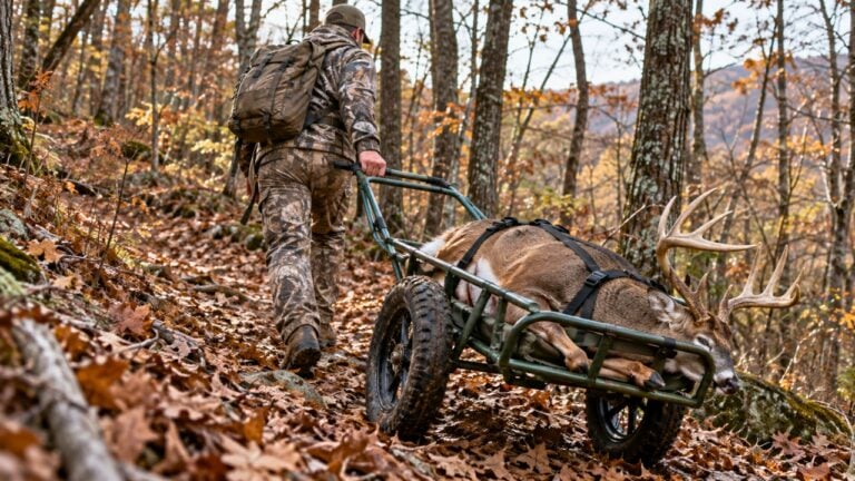Best Deer Carts, Sleds and Drags: How to Get Your Deer Out Without Wrecking Your Back