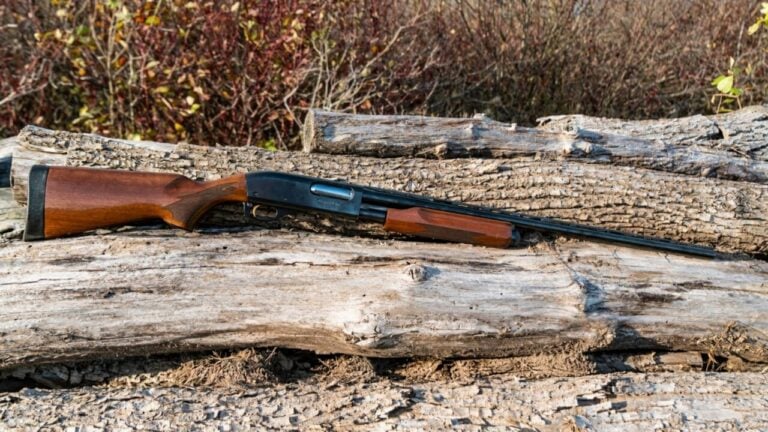20 Guns I Would Buy Without Hesitation if I Found Them at a Gun Show This Weekend