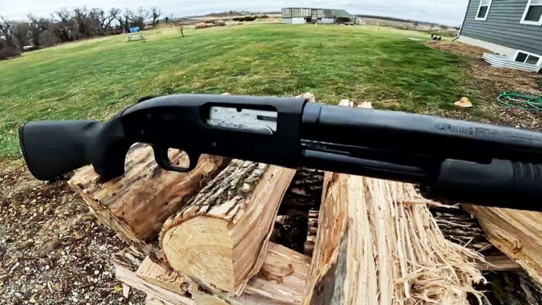 Shotguns That Collectors Are Quietly Adding to Their Lists Before the Market Figures Them Out